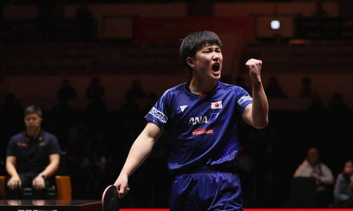 张本智和回川祭祖遭拒引身份争议