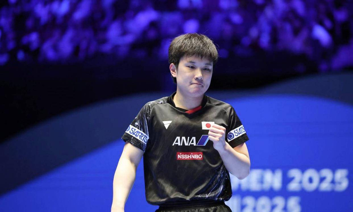 张本智和回川祭祖遭拒引身份争议